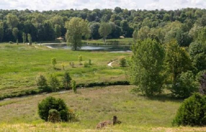 Île-de-France met en évidence ses 45 jardins remarquables