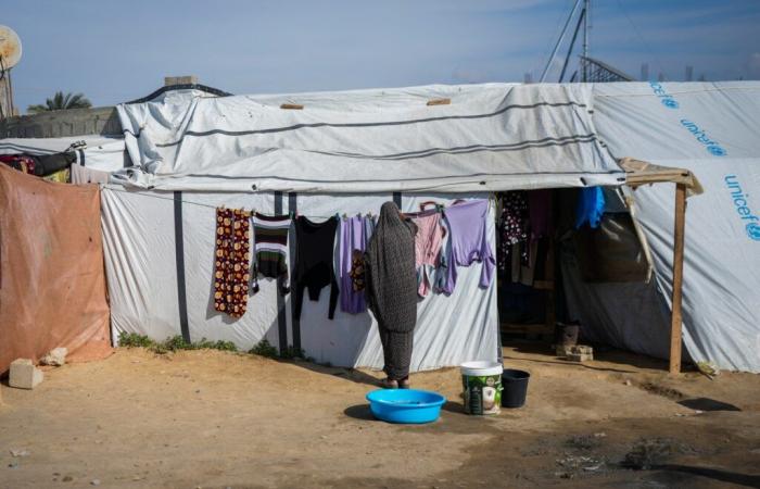 “ Mon cœur est divisé en deux ”: les femmes attendant de retourner à Northern Gaza