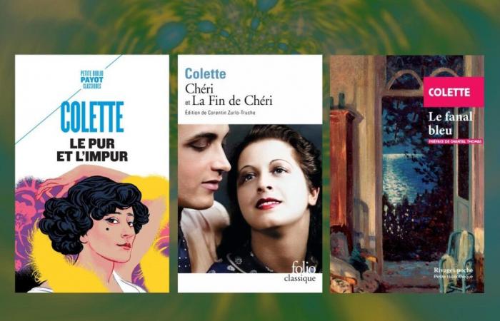 Trois livres de poche recommandés par François Angelier : Colette à l’honneur