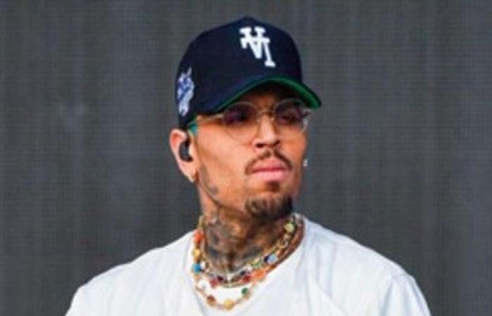 Chris Brown demande 500 millions de dollars à Warner Bros pour un documentaire