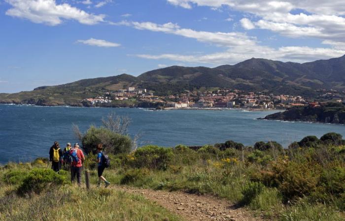 250 km de sentier côtier entre la France et l’Espagne, ce projet colossal porté par des passionnés de marche borde la Méditerranée