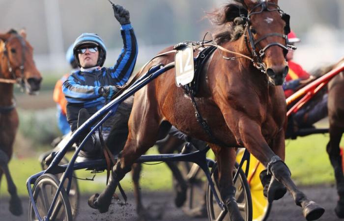 Tillard Idao à la recherche d’un titre deuxième d’Améique le Prix