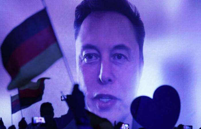 Elon Musk intervient en direct dans une réunion pour soutenir l’AFD, Far-Right Party