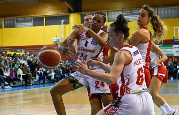 Le coup de poing du basket évite de peu le piège dijonnais