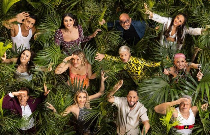 Le candidat «Jungle Camp» passe par l’enfer! “Laisse-moi sortir”