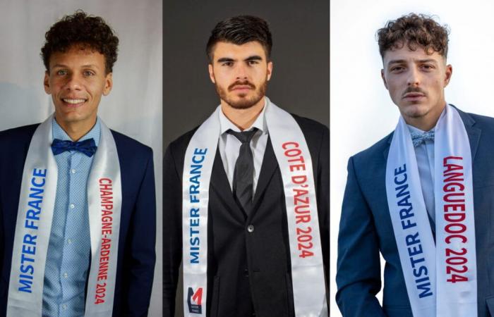 Des hommes trop parfaits et des achats de vote… l’élection drôle qui a du mal à égaler Miss France