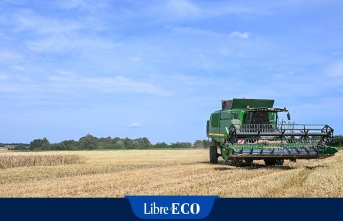 Le prix moyen d’un hectare de terre agricole tourne autour de 40 000 euros