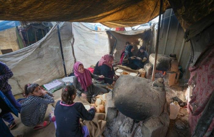 “ Mon cœur est divisé en deux ”: les femmes attendant de retourner à Northern Gaza