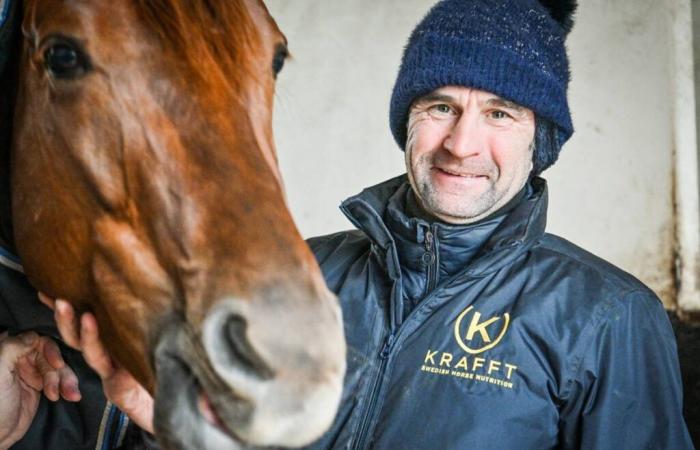 Ils ont construit Hooker Berry, Horse Berrichon à la recherche d’un deuxième prix en Amérique