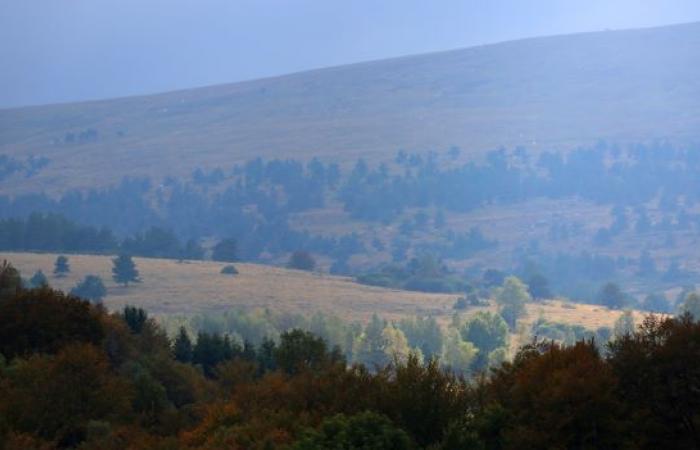 Empreintes d’histoire. Pourquoi Lozère, parfois un désert de troubles, est-il devenu une terre en 1994 d’attaques?