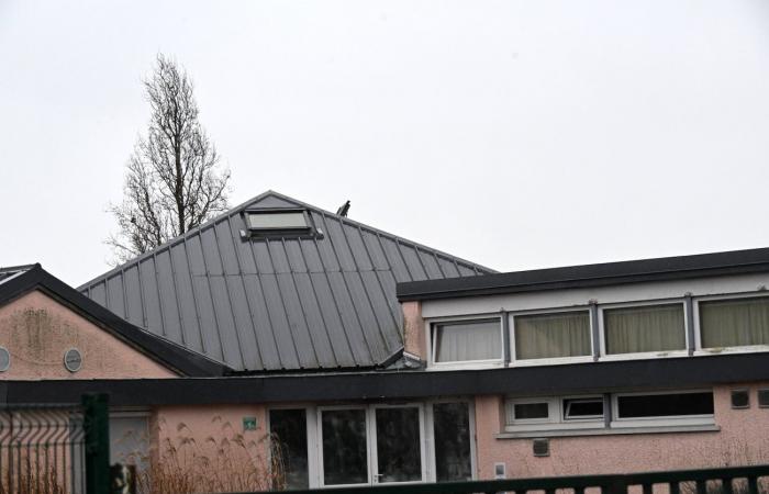 Le Creusot: Pas de cantine ce lundi pour les enfants de l’école Raymond Rochette en raison du début d’un incendie dans l’ancien jardin d’enfants