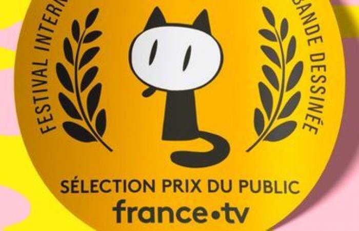 Pourquoi le prix du public France Télévisions ne ressemble-t-il pas aux autres prix?