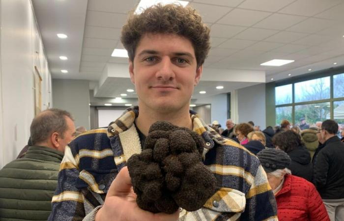 EN IMAGES – A 24 ans, il remporte le concours de la plus grosse truffe de Dordogne grâce à sa trouvaille de près de 600g