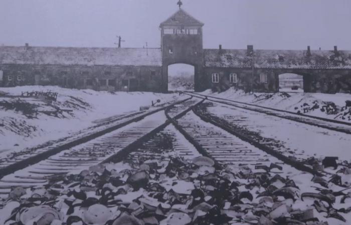 TÉMOIGNAGES. 80 ans après la libération d’Auschwitz, les derniers survivants de la Shoah racontent l’indicible