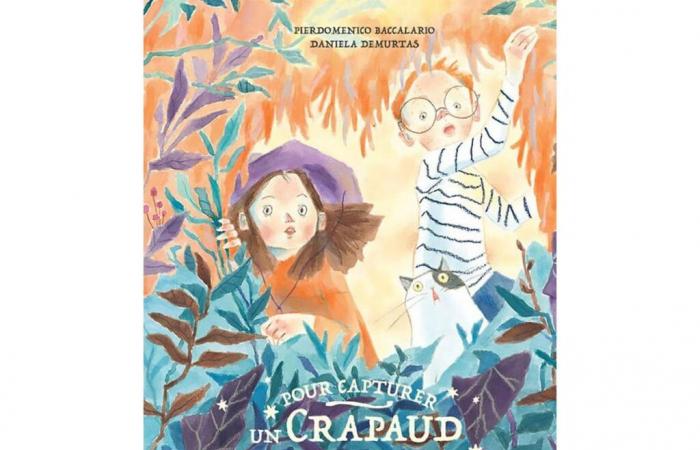 Pour capturer un crapaud magique, un album jeunesse comme voyage initiatique