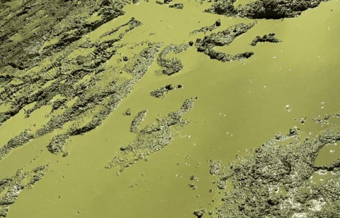 Quotidiennement l’Alestrem, une première journée inondé, d’eau et de personnes