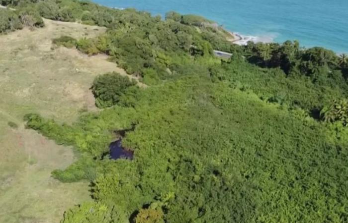 Dans Sainte-Rose, l’Etang de Vieux-Fort sur le point de retrouver sa beauté naturelle, grâce à la Heritage Foundation