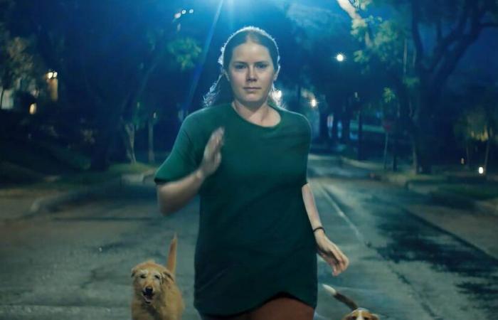 «Nightbitch», chien de vie pour Amy Adams – Libération