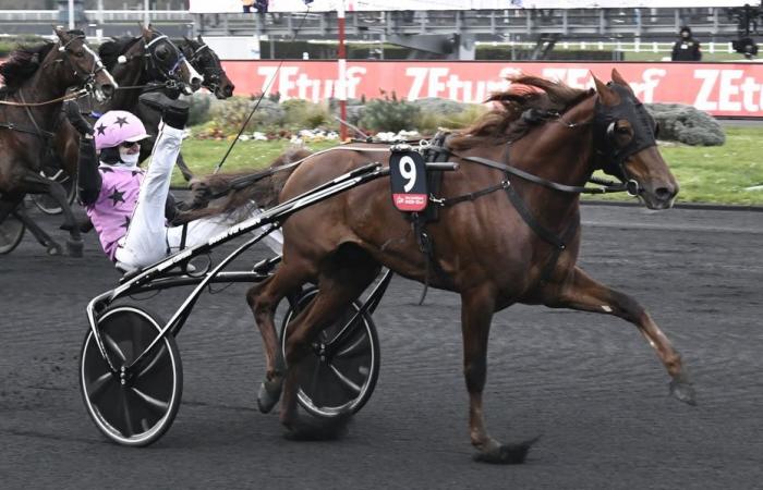 Tout ce qu’il faut savoir avant le 104ème Prix in America, le Championnat du Monde des Trotteurs