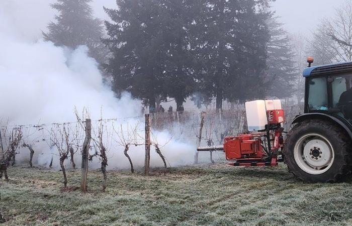 Luzech. Tests et choix pour lutter contre le gel