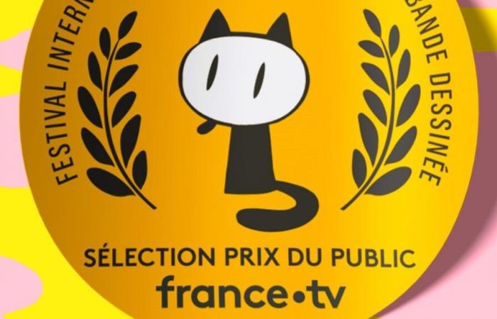 Pourquoi le prix public de France Télévisions ressemble-t-il aux autres tarifs ?