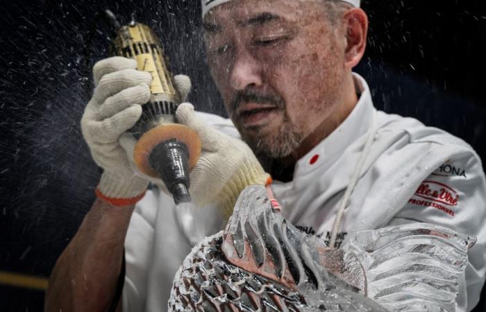 PHOTOS. Le Japon sacré champion du monde de pâtisserie à Lyon