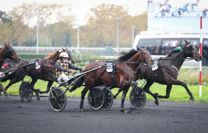 Les 4 informations essentielles du meeting 1 du Prix d’Amérique – Legend Race ce dimanche 26 janvier