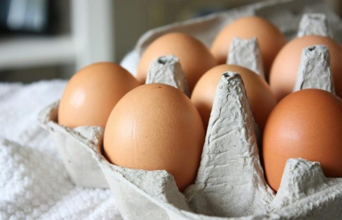 Face à la grippe aviaire, le prix des œufs bondit