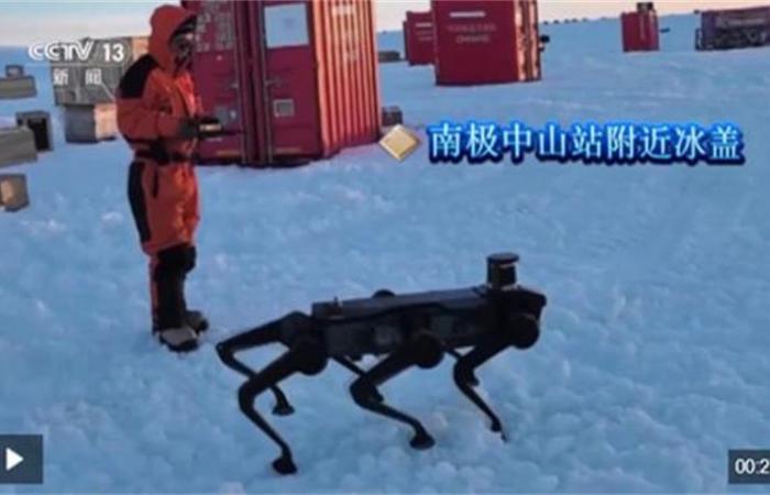 Un chien robot à six pattes développé en Chine fait ses débuts en Antarctique