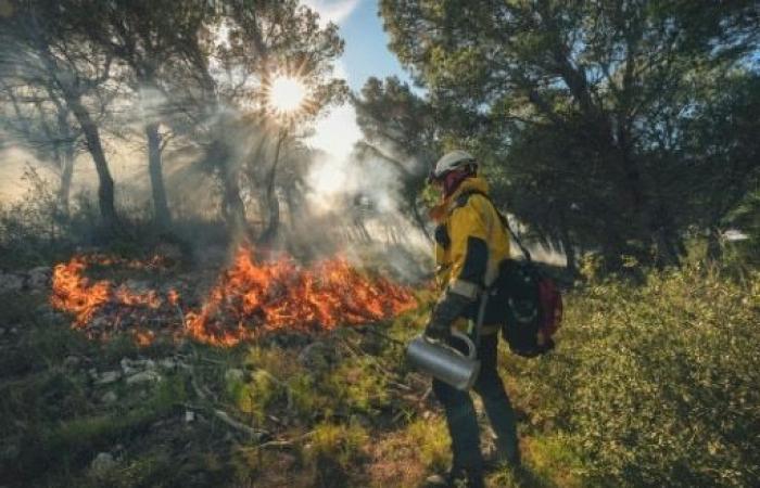 À Aude, les pompiers utilisent des incendies en hiver pour limiter les incendies en été