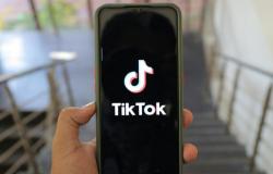 l’interdiction de TikTok pendant un an suscite la polémique