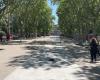 La « grande allée » et sa perspective prennent forme sur l’esplanade Charles-de-Gaulle à Montpellier