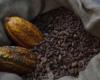 La crise à laquelle est confronté le secteur du cacao démontre qu’il est possible de rémunérer équitablement les producteurs de cacao. – .