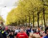 La 38e Baloise Anvers 10 Miles a battu tous les records avec 40 000 lopers