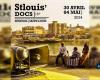 SÉNÉGAL-CULTURE / La 15ème édition de « Stlouis’Docs », du 30 avril – Agence de presse sénégalaise – .