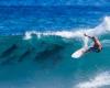 une surfeuse accompagnée de dauphins remporte son premier championnat du monde