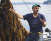 Un pêcheur canadien devenu agriculteur marin a produit plus de 20 tonnes d’algues l’année dernière