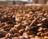 Le prix du cacao durable est débattu lors de la Conférence mondiale à Bruxelles