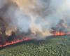 Le Canada, déjà confronté à ses premiers incendies de forêt, craint un été « catastrophique »