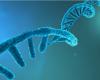 Moderna et Pfizer BioNTech s’affrontent sur la paternité de l’ARN messager