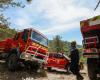Ardèche. Près de 50 pompiers impliqués dans deux feux de végétation