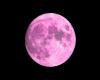 Demain, la spectaculaire « lune rose » d’avril illuminera le ciel français, voici comment la voir ! – .