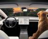 Tesla réduit de 4 000 $ le prix d’un logiciel de conduite autonome controversé