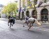Les chevaux en fuite font des ravages dans le centre de Londres