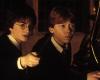 Pourquoi la scène forestière dans Harry Potter et la Chambre des Secrets a-t-elle été un véritable cauchemar pour Rupert Grint (Ron Weasley) ? – .