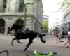 EN VIDÉO | Des chevaux en fuite blessent plusieurs personnes dans le centre de Londres