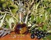 Quelles sont les 12 meilleures huiles d’olive extra vierges du Maroc