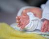 cinq bébés sont morts en 2024 – Dans l’actualité
