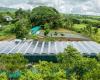 Ombrages photovoltaïques pour la culture de la vanille à La Réunion