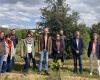 Le week-end « De ferme en ferme » dans le Gard met à l’honneur les agriculteurs et l’agroforesterie